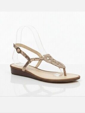 Talbots Snakeskin Leather T-Strap Wedge Sandals Size 6B Brazil Slingback Celtic